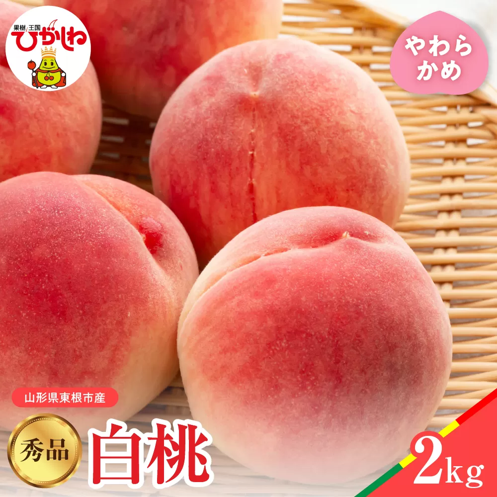 【2026年産】白桃 品種おまかせ 秀品2kg(やわらかめ) 松栗提供 山形県 東根市 hi062-057