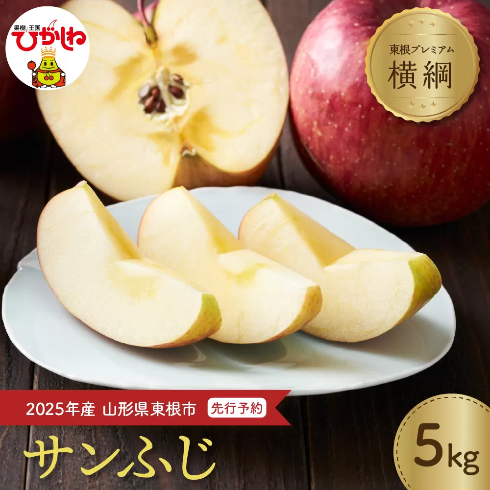 【2025年産 先行予約】 りんご「【横綱】サンふじ」5kg JA提供 山形県 東根市 hi003-140-1