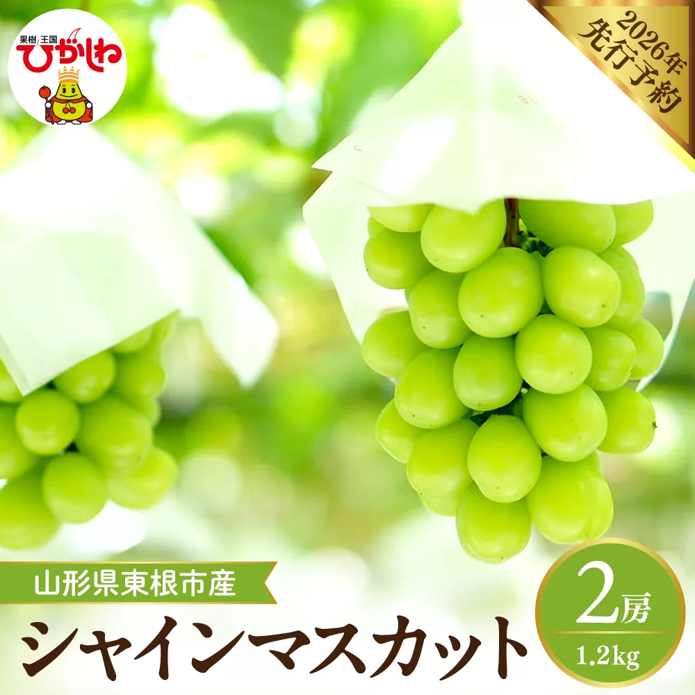 【2026年産先行予約】 シャインマスカット 約1.2kg (2房入) 山形県 東根市 hi026-054