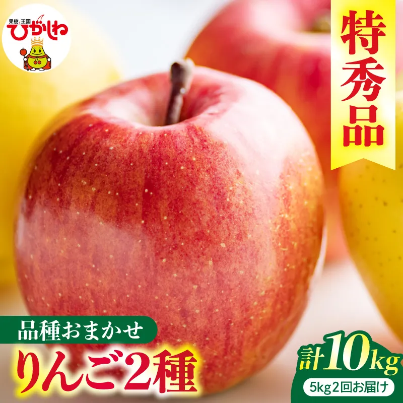 【2回定期便】2026年産 リンゴ 5kg(品種おまかせ)×2回お届け 特秀品 山形県 東根市 ティスコファーム提供 hi089-004-r8