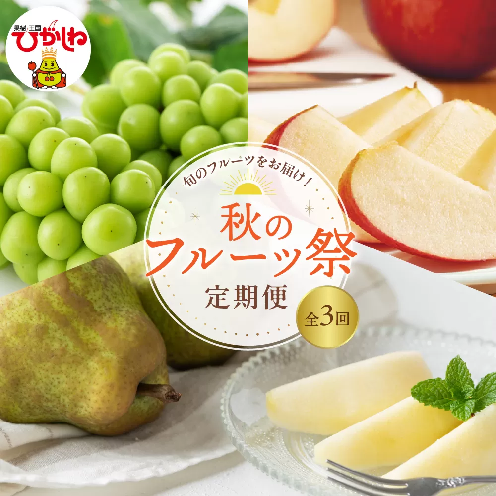 2025年産 秋のフルーツ祭定期便！全3回(2025.10月スタート) 山形県 東根市 hi026-043-1