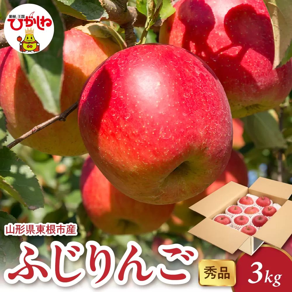 2025年産 ふじりんご 3kg（6-13玉） 秀品 山形県 東根市 hi082-017-1