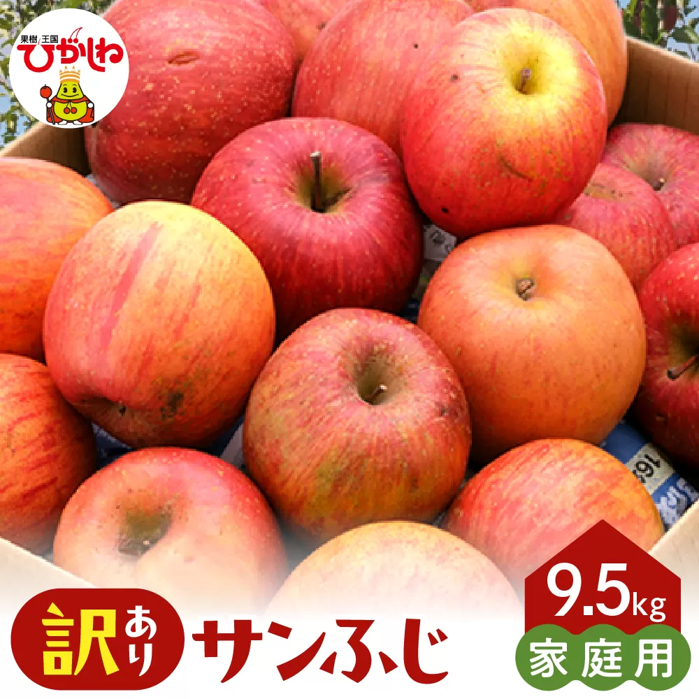 [2026年産]※訳あり※ サンふじ満杯詰(約9.5kg) 山形県 東根市 東根農産センター提供 hi027-204-r8