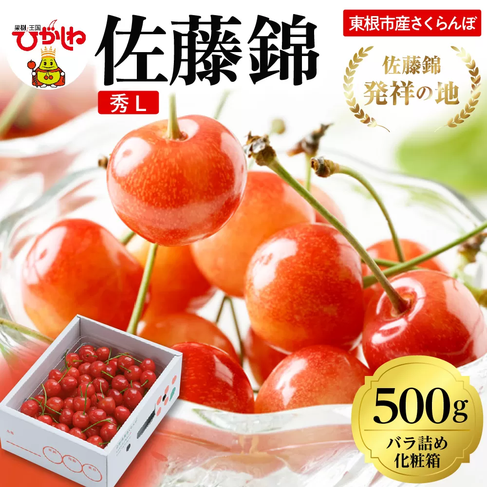 2026年 東根産さくらんぼ「佐藤錦」500gバラ詰め 秀品 Lサイズ 東根農産センター提供 山形県 東根市 hi027-221