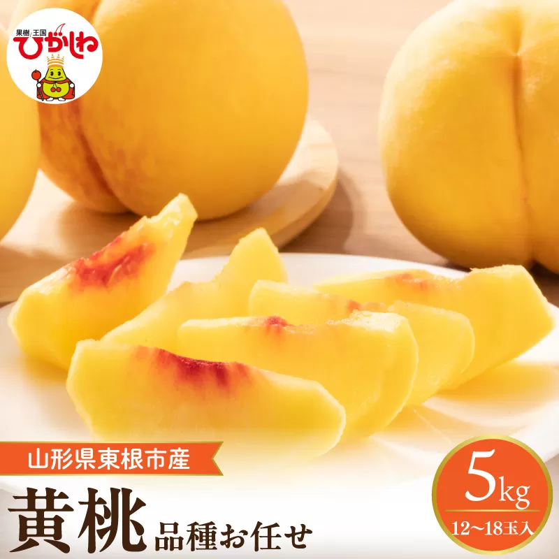 【2026年産】　採れたて黄桃(品種お任せ) 約5kg (12～18玉)晴天畑提供 山形県 東根市 hi026-058