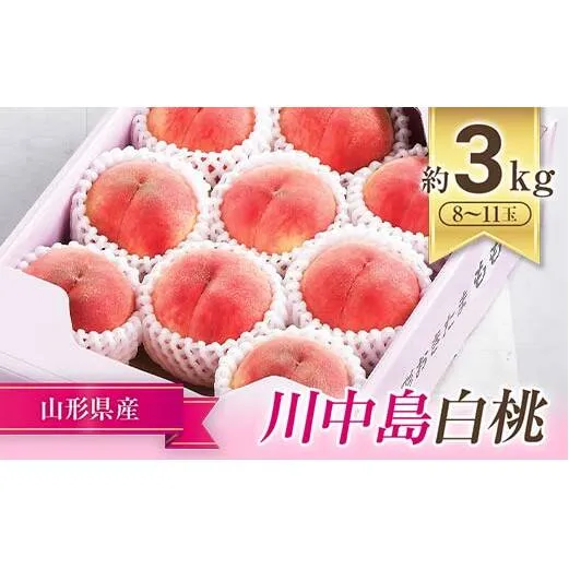 【令和7年産先行予約】 JA もも 「川中島」 約3kg (8～11玉) 化粧箱入り 《令和7年8月下旬～9月下旬発送》 『JA山形おきたま』 桃 モモ 果物 フルーツ 山形県 南陽市 [982]