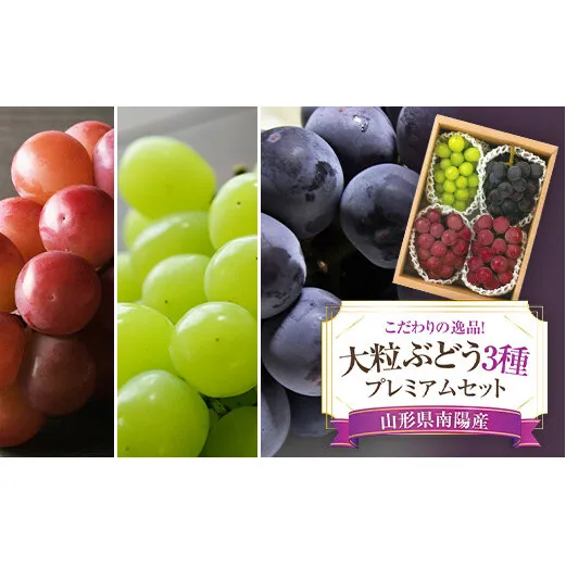【令和8年産先行予約】 大粒ぶどう3種プレミアムセット 4房 《令和8年9月上旬～発送》 『うえ木ぶどう園』 葡萄 ブドウ 果物 フルーツ デザート 食べ比べ 山形県 南陽市 [676]