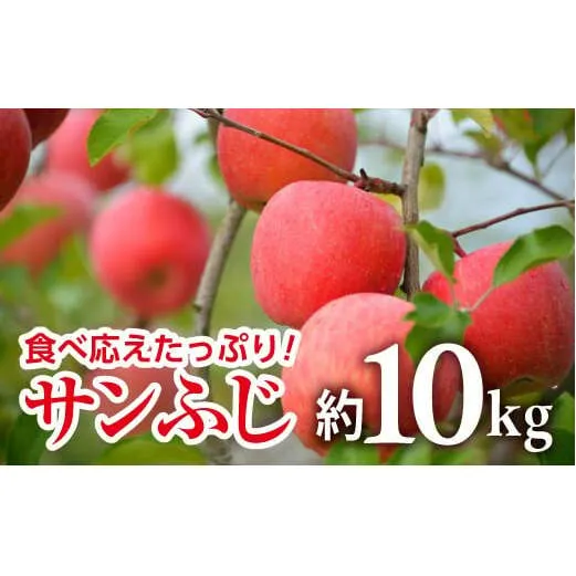 【令和8年産先行予約】 JA りんご 「サンふじ」 約10kg (28～40玉 秀) 《令和8年11月中旬～12月中旬発送》 『JA山形おきたま』 林檎 リンゴ 果物 フルーツ 山形県 南陽市 [720-R8]