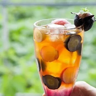 漆山果樹園 ぶどう狩り ＆ 無添加ジェラートのカフェ利用券 1枚 『漆山果樹園』 山形県 南陽市 [786]