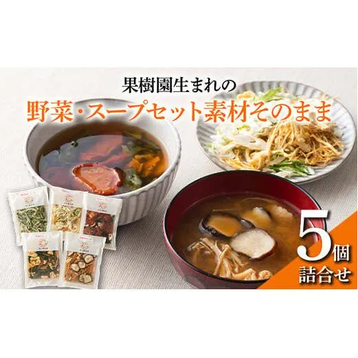 果樹園生まれの 「野菜・スープセット素材そのまま」 5個詰合せ 『漆山果樹園』 山形県 南陽市 [493]