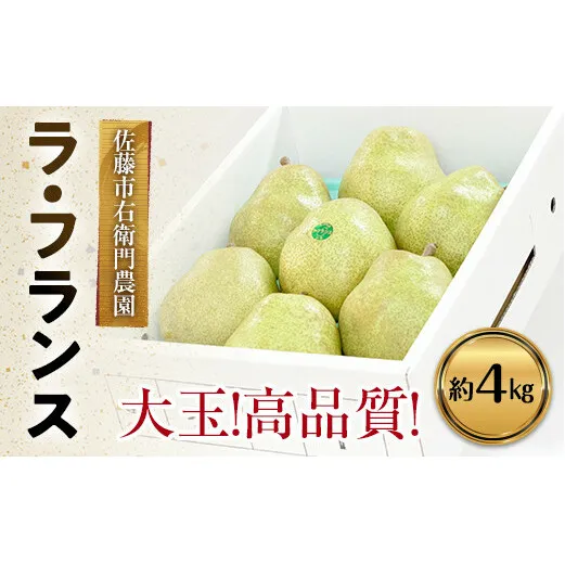 【令和6年産先行予約】 十三代目 佐藤市右衛門 特大玉 ラ・フランス 約4kg (7玉 秀) 《令和6年11月上旬～発送》 『旬の果実 佐藤市右衛門農園』 [678]