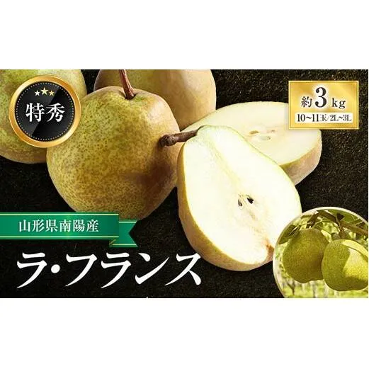 【令和6年産先行予約】 ラ・フランス 約3kg (10～11玉 特秀) 《令和6年11月頃～発送》 『生産者 鈴木 喜代美』 ラフランス 西洋梨 洋なし 訳あり 山形県 南陽市 [571]