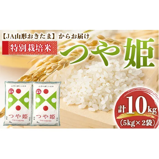 令和7年産 JA 特別栽培米 つや姫 10kg (5kg×2袋) 『JA山形おきたま』 山形置賜産 米 精米 山形県 南陽市 [639]