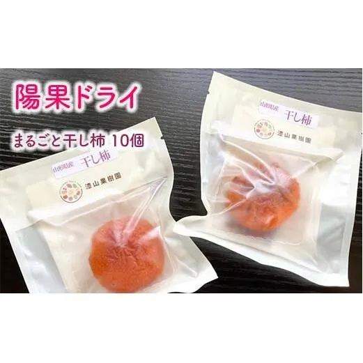 果樹園生まれの 常温乾燥機で作る 「陽果ドライ まるごと干し柿」 10個 《令和7年12月上旬～発送》 『漆山果樹園』 山形県 南陽市 [853]