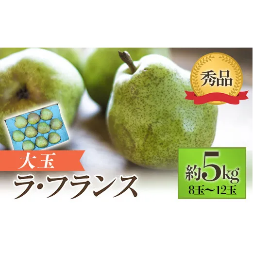 【令和8年産先行予約】 JA 大玉 ラ・フランス 約5kg ( 8～12玉 秀) 《令和8年11月上旬～12月上旬発送》 『JA山形おきたま』 洋梨 果物 フルーツ 山形県 南陽市 [718-R8]