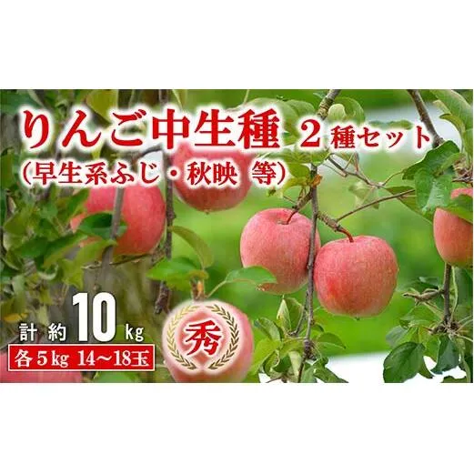【令和8年産先行予約】 JA 中生種りんご 2種セット 「早生系ふじ (涼香の季節・昴林)・秋陽・秋映 等」 各約5kg (計10kg) 『JA山形おきたま』 [719]