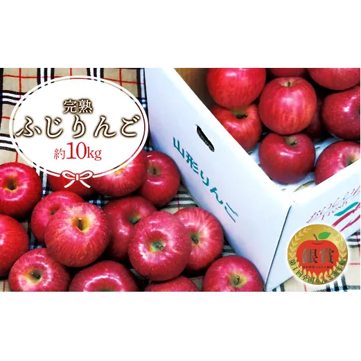 【令和7年産先行予約】 雪んこ 完熟ふじりんご 約10kg バラ詰め 《令和8年1月上旬～発送》 【全国りんご選手権 銀賞】 『船中農園』 りんご リンゴ ふじ ふじりんご 完熟 果物 フルーツ デザート 山形県 南陽市 [696]