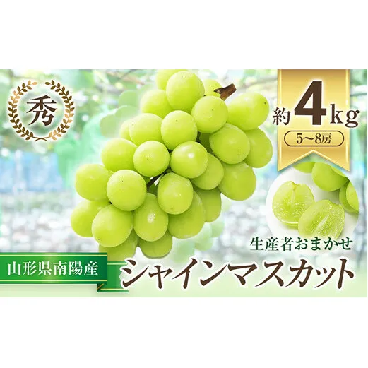 【令和7年産先行予約】 シャインマスカット 約4kg (5～8房 秀) 《令和7年9月中旬～発送》 『生産者おまかせ』 マスカット ぶどう 種なし 果物 フルーツ デザート 山形県 南陽市 [636]
