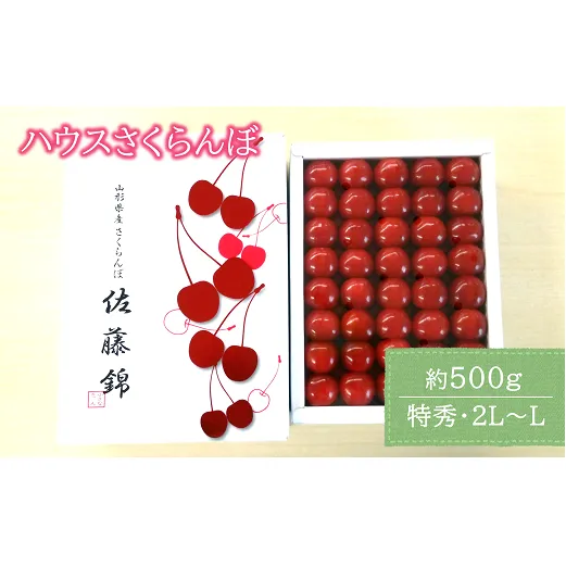 【令和8年産先行予約】 JA ハウスさくらんぼ 「佐藤錦」 約500g (特秀 2L～L) 化粧箱入り 《令和8年6月上旬～中旬発送》 『JA山形おきたま』 サクランボ 果物 フルーツ 山形県 南陽市 [860]