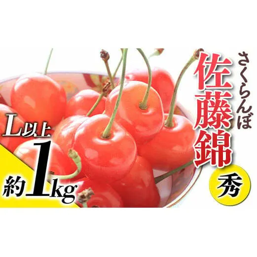 【令和7年産先行予約】 さくらんぼ 「佐藤錦」 約1kg (秀 L以上) バラ詰め 《令和7年6月上旬～発送》 『生産者おまかせ』 サクランボ 果物 フルーツ 産地直送 山形県 南陽市 [881]