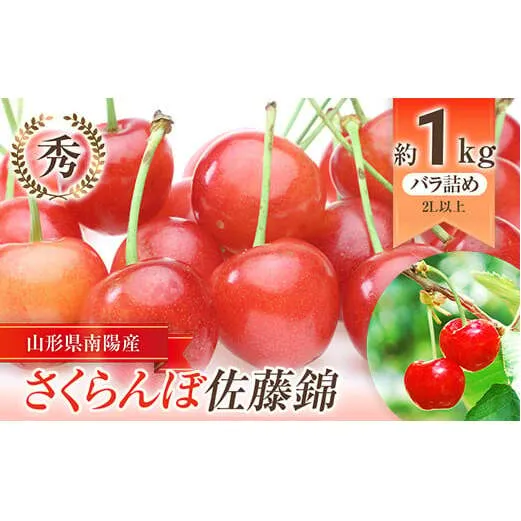 【令和8年産先行予約】 さくらんぼ 「佐藤錦」 約1kg (秀 2L以上) バラ詰め 《令和8年6月上旬～発送》 『生産者おまかせ』 サクランボ 果物 フルーツ 産地直送 山形県 南陽市 [883]