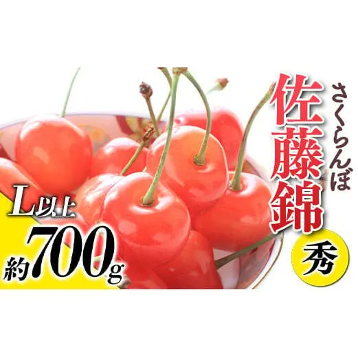 【令和8年産先行予約】 さくらんぼ 「佐藤錦」 約700g (秀 L以上) バラ詰め 《令和8年6月上旬～発送》 『生産者おまかせ』 サクランボ 果物 フルーツ 産地直送 山形県 南陽市 [884]