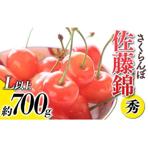 【令和9年産先行予約】 さくらんぼ 「佐藤錦」 約700g (秀 L以上) バラ詰め 《令和9年6月上旬～発送》 『生産者おまかせ』 サクランボ 果物 フルーツ 産地直送 生産農家直送 山形県 南陽市 [884]