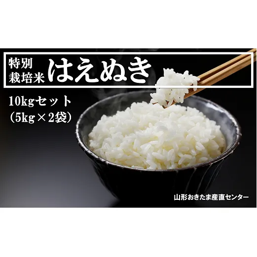 特別栽培米 はえぬき 10kg (5kg×2袋) 『山形おきたま産直センター』 山形県 南陽市 [1000]