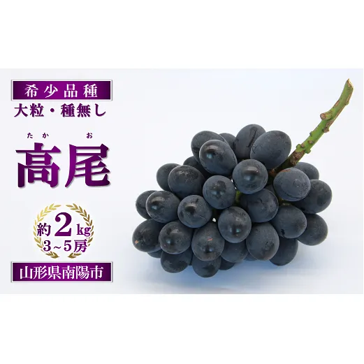 【令和8年産先行予約】 希少品種の黒系ぶどう 「高尾」 約2kg (3～5房 秀) 《令和8年9月頃～発送》 『南陽中央青果市場』果物 フルーツ デザート 山形県 南陽市 [1043]