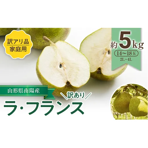 【令和8年産先行予約】 〈訳あり品 家庭用〉 ラ・フランス 約5kg (14～18玉 2～4L) 《令和8年11月中旬～発送》 『寿農園』山形県 南陽市 [1056]