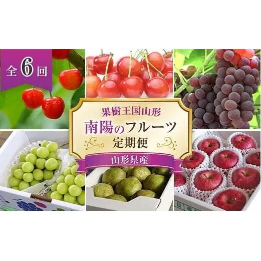 【令和8年産先行予約】 《定期便6回》 果樹王国山形 南陽のフルーツ定期便A 『マルエ青果』 果物 くだもの フルーツ 山形県 南陽市 [1105-R8]
