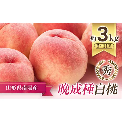 【令和9年産先行予約】 晩成のもも「だて白桃・さくら・西王母 等」 約3kg (6～11玉) 《令和9年9月中旬～発送》 『生産者 高橋 賢一』 桃 モモ 果物 フルーツ 産地直送 生産農家直送 山形県 南陽市 [1107-R9]