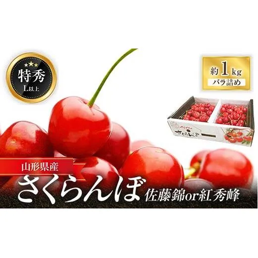 【令和8年産先行予約】 さくらんぼ「佐藤錦または紅秀峰」 約1kg (特秀 L以上) 《令和8年6月中旬～発送》 『マルエ青果』 先行予約 サクランボ 果物 フルーツ 山形県 南陽市 [1115]