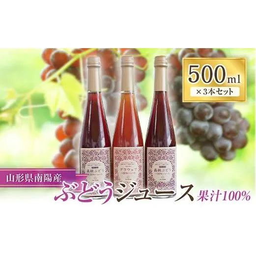果樹園生まれの 果汁100%ぶどうジュース 「高級ぶどう ＋ デラウェア」 2種 各500ml 計3本セット 『漆山果樹園』 山形県 南陽市 [1167]