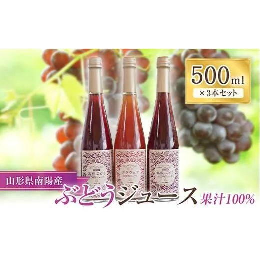 果樹園生まれの 果汁100%ぶどうジュース 「高級ぶどう ＋ デラウェア」 2種 各500ml 計3本セット 『漆山果樹園』 山形県 南陽市 [1167]