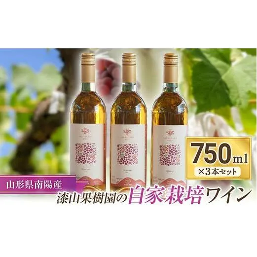 果樹園生まれの 「漆山ワイン (デラウェア)」 750ml×3本セット 『漆山果樹園』 自家栽培 山形県 南陽市 [1168]
