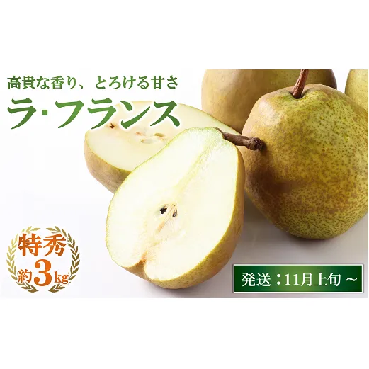 【令和8年産先行予約】 JA ラ・フランス 約3kg (8～10玉 特秀) 《令和8年11月上旬～12月上旬発送》 『JA山形おきたま』 洋梨 果物 フルーツ 山形県 南陽市 [1177-R8]