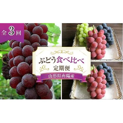 【令和7年産先行予約】 《定期便3回》 ぶどう食べ比べ 定期便 《令和7年7月～発送》 『漆山果樹園』 葡萄 ぶどう ブドウ 果物 フルーツ デザート 山形県 南陽市 [1179]