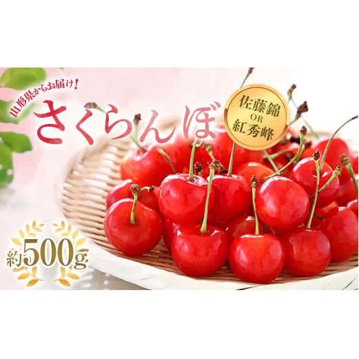【令和8年産先行予約】 さくらんぼ 「佐藤錦または紅秀峰」 約500g (秀 L以上) バラ詰め 《令和8年6月上旬～発送》 『南陽中央青果市場』 サクランボ 果物 山形県 南陽市 [1203]