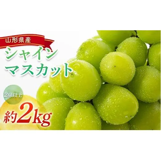【令和8年産先行予約】 シャインマスカット 約2kg (2房以上) 《令和8年9月頃～発送》 『南陽中央青果市場』 マスカット ぶどう 果物 フルーツ デザート 山形県 南陽市 [1205]
