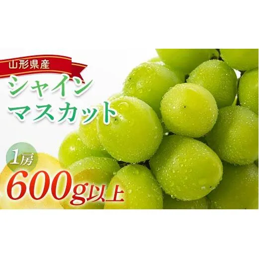 【令和8年産先行予約】 シャインマスカット 600g以上 (1房 秀) 《令和8年9月頃～発送》 『南陽中央青果市場』 マスカット ぶどう 果物 フルーツ デザート 山形県 南陽市 [1206]