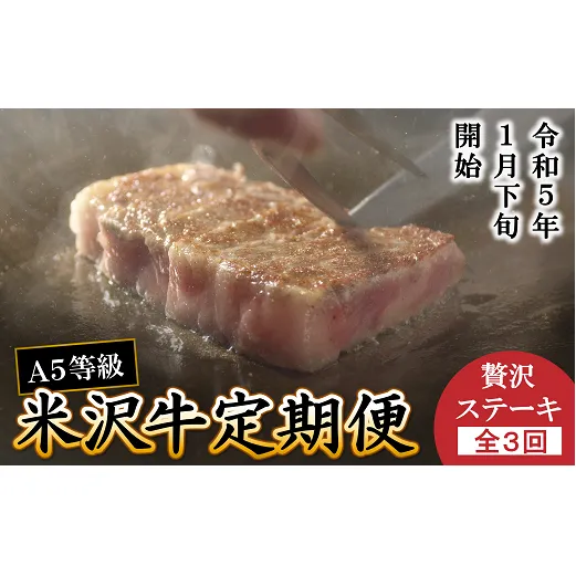 《定期便3回》 A5等級 米沢牛定期便 ステーキコース 《令和7年1月開始》 『(有)辰巳屋牛肉店』 山形県 南陽市 [1268]