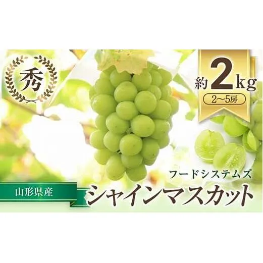 【令和8年産先行予約】 シャインマスカット 約2kg (2～5房 秀) 《令和8年9月下旬～11月中旬発送》 『フードシステムズ』 マスカット 葡萄 ぶどう 果物 山形県 南陽市 [1388]