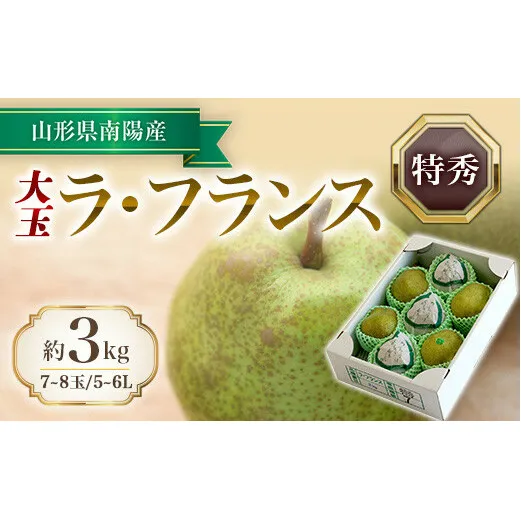 【令和6年産先行予約】 十三代目 佐藤市右衛門 大玉ラ・フランス 約3kg （7～8玉 特秀）《令和6年11月上旬～発送》 『旬の果実 佐藤市右衛門農園』ラフランス 西洋梨 洋なし 果物 フルーツ 山形県 南陽市 [1403]