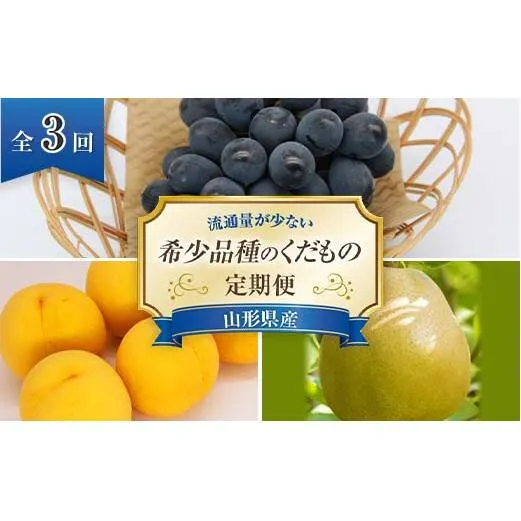 【令和8年産先行予約】 《定期便3回》 流通量が少ない"希少品種の" くだもの定期便 『南陽中央青果市場』 ぶどう 黄桃 ゴールド ラ・フランス 果物 フルーツ 山形県 南陽市 [1407-R8]