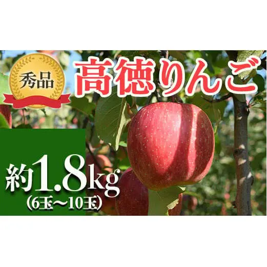 令和7年産先行予約】 JA りんご 高徳 約1.8kg (6~10玉 秀以上 令和7年産先行予約】 JA りんご 高徳 約1.8kg (6~10玉 秀以上