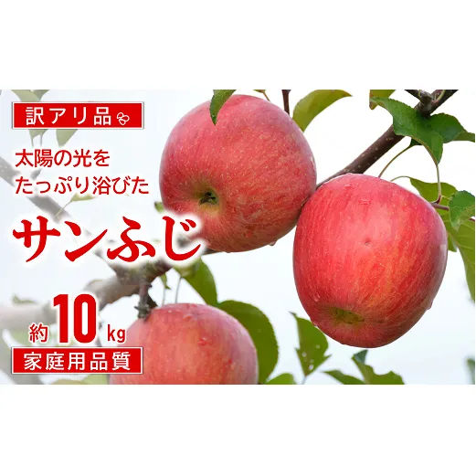 【令和8年産先行予約】 〈訳あり品 家庭用〉 JA りんご 「サンふじ」 約10kg (28～46玉) 《令和8年11月中旬～12月中旬発送》 『JA山形おきたま』 林檎 リンゴ 果物 フルーツ 山形県 南陽市 [1410-R8]