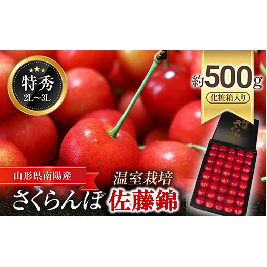 【令和8年産先行予約】 温室さくらんぼ 「佐藤錦」 約500g (特秀 2～3L) 化粧箱入り 《令和8年5月下旬～発送》 『松田観光果樹園』 生産農家直送 温室栽培 山形県 南陽市 [617]
