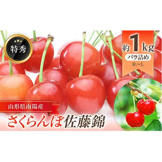【令和7年産先行予約】 さくらんぼ 「佐藤錦」 約1kg (約500g×2パック 特秀 L～3L) バラ詰め 《令和7年6月中旬～発送》 『大野さくらんぼ団地』 サクランボ 果物 フルーツ 山形県 南陽市 [671]