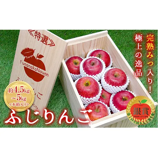 【令和7年産先行予約】 《特選》プレミアム 完熟みつ入りふじりんご 約4.5～5kg (約15玉 サイズおまかせ) 木箱入り 《令和7年12月中旬～発送》 【全国りんご選手権 銀賞】 『船中農園』 山形県 南陽市 [1454]
